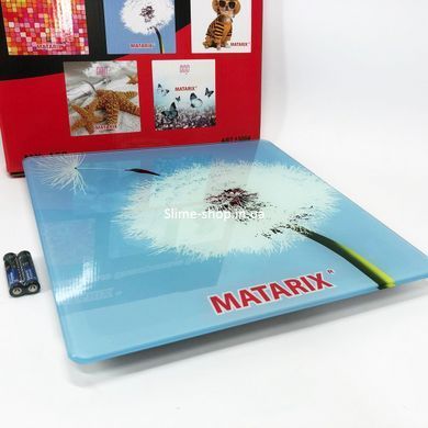 Ваги для ваги MATARIX MX-452 180 кг, Персональні ваги DE-475 для зважування