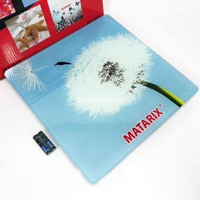 Ваги для ваги MATARIX MX-452 180 кг, Персональні ваги DE-475 для зважування