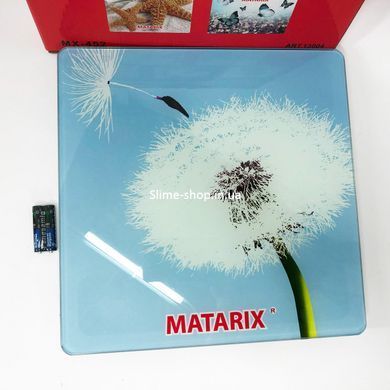 Ваги для ваги MATARIX MX-452 180 кг, Персональні ваги DE-475 для зважування