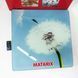Ваги для ваги MATARIX MX-452 180 кг, Персональні ваги DE-475 для зважування
