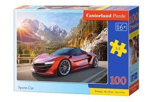 Пазли "Sport car", 100 елементів
