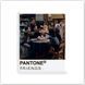 3D стикер "Pantone Friends" (цена за 1 стикер)