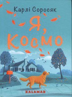 Книга Я, Космо
