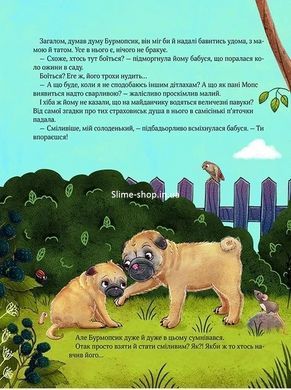 Книга Усміхнися, Бурмопсику! Астнер Люсі. Маленьке диво (українською)