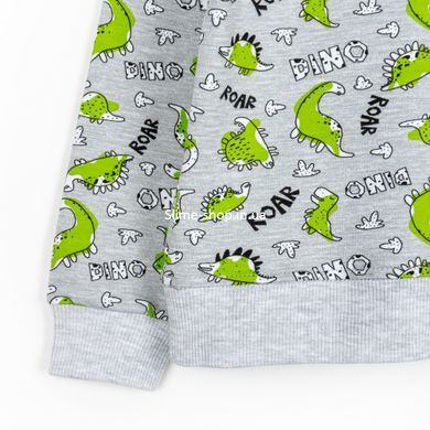 Костюм для хлопчика Dino з тканини двухнитка