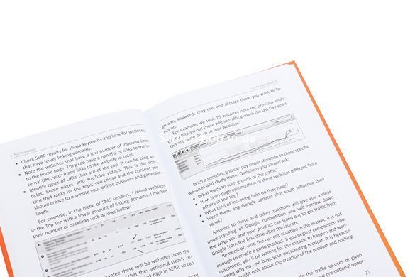 Книга Build and promote profitable SaaS business / Екатерина Миронюк (на английском)
