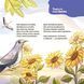 Матусина бібліотечка. Віршенята для малят. Комплект з 4-х книг - Ю. Забіяка, Ю. Пелихова