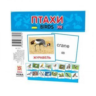 Карточки мини Птицы (110х110 мм) (укр)