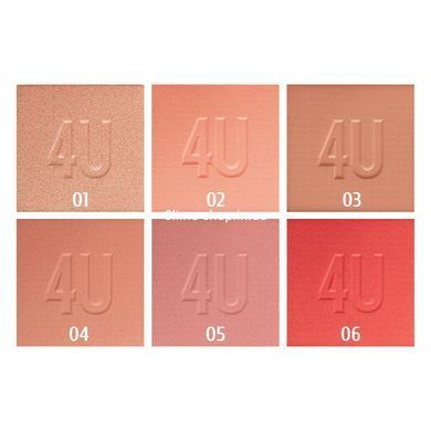 Румяна для лица Parisa Cosmetics Base 4U B705 № 02