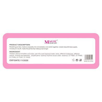 Блиск для губ проявний Magic Your Life LC315 (6 шт. в асортименті)