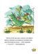 Книга Маляка и Большая Маня. Маляка. Книга 4 / Сашко Дерманский (9786178177072) (на украинском)