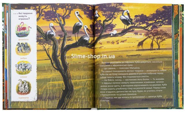 Книга Тулі-Тулі. Дух-опікун тварин розповідає історії про них - Зоф&rsquo;я Станецька
