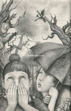 Книга Бухтик з тихого затону / Володимир Рутківський. Ростислав Попський (українською)