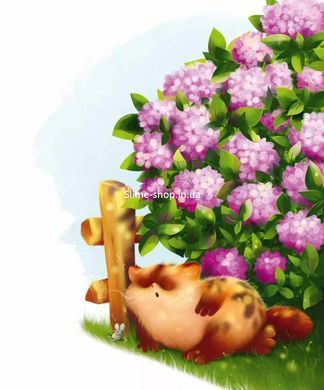 Книга для детей Морскосвинский детектив Жерар на Выходке. Книга 2 Иван Андрусяк Мечтатели (на украинском