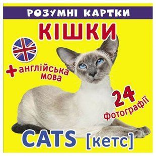 "Розумні картки. Кішки"