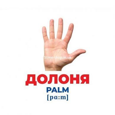 Геній з пелюшок. Будова тіла (демонстраційний матеріал)