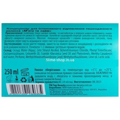Кондиционер для волос восстанавливающий Top Beauty Mint&Lime 250 мл