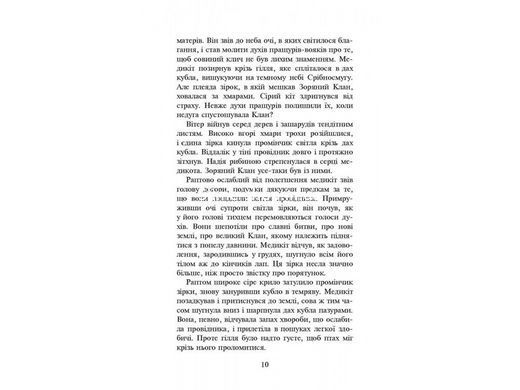 Мировой бестселлер Книга Коты-воины Поднимается буря 4 (мягкая) (на украинском языке)