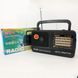 Радиоприемники fm диапазона Kipo KB-409 AC, Радиоприемник для сельской местности, Приемник LK-508 фм радио
