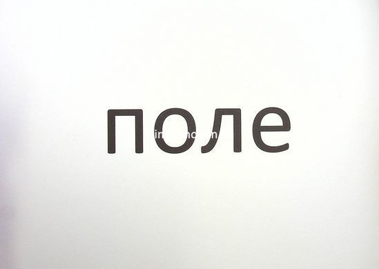 НУШ 1 класс. Зрительные диктанты по украинскому языку - Лариса Шевчук (на украинском языке)