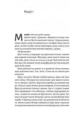 Книга Пташиний короб - Джош Малерман