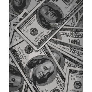 Картина за номерами "Money" 40х50 см
