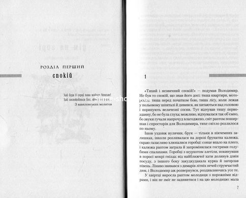 Книга Дом на горе / Валерий Шевчук (на украинском)
