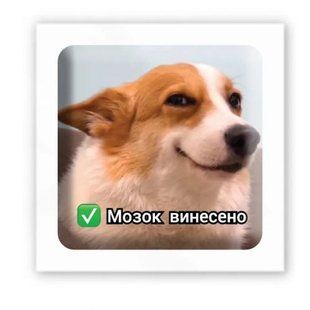 3D стикер "Мозг вынесен" (цена за 1 шт)