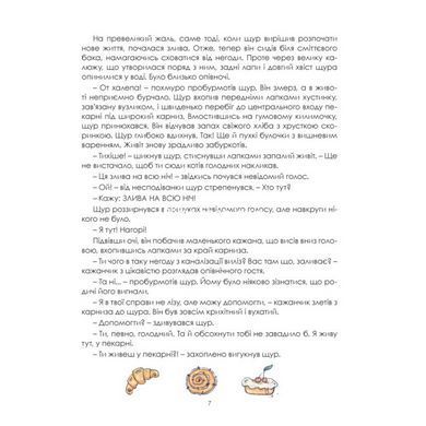 Книга Пригоди Пана Щура / Леся Соняшна.Юліана Чижик (українською)
