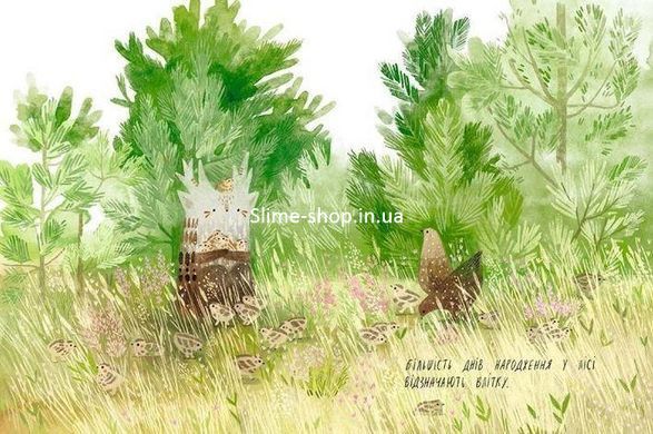 Книга для детей День рождения елочки (на украинском языке)