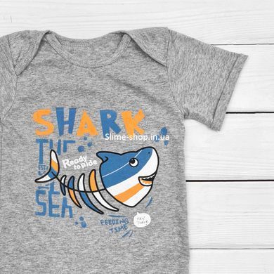 Кулирный песочник детский Shark