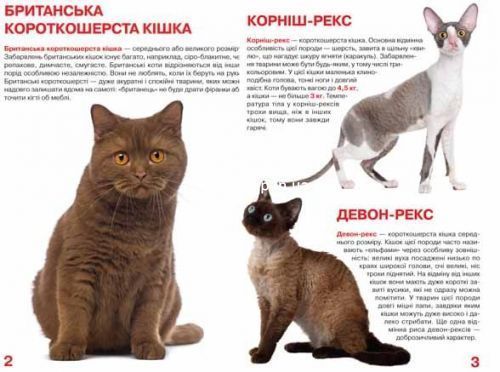 Книга "Велика книга. Кішки" (укр)