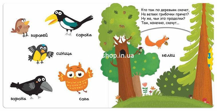 Книга Кто живет в лесу Сторінки-цікавинки (російською мовою)