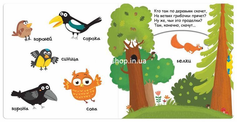 Книга Кто живет в лесу Сторінки-цікавинки (російською мовою)