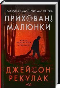 Книга Приховані малюнки / Джейсон Рекулак (українською)