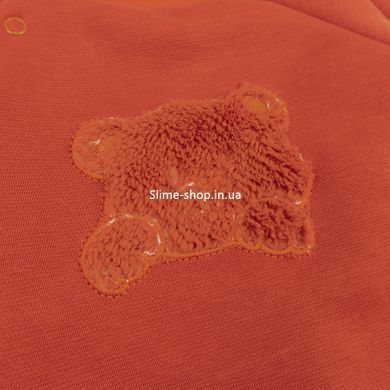 Костюм теплый детский с аппликацией Bear