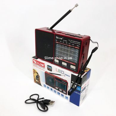 FM радіо з mp3 програвачем GOLON RX-8866, Всехвильовий JR-482 радіоприймач професійний