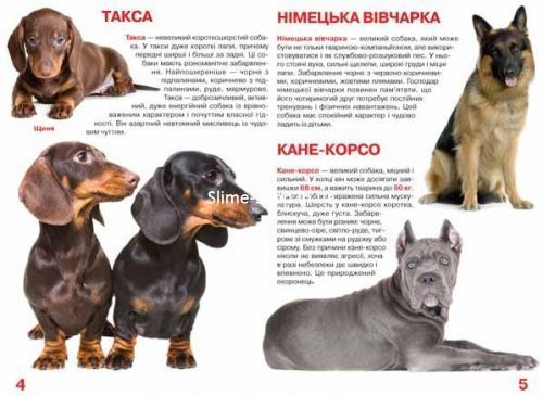 Книга "Большая книга. Собаки" (укр)