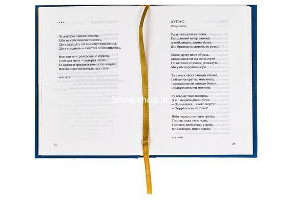 Книга Заглядываюсь в твои зеницы - Василий Симоненко (на украинском языке)
