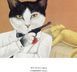 Книга Галерея котів Сьюзан Герберт