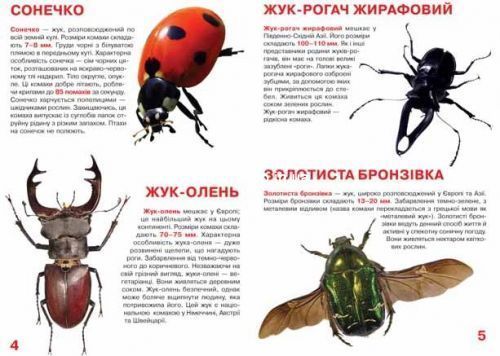 Книга "Большая книжка. Жуки" (укр)