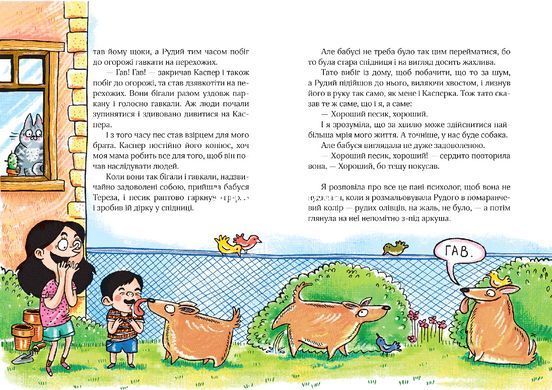 Сюзанка. Комплект з 2 книг. Дорота Сувальска