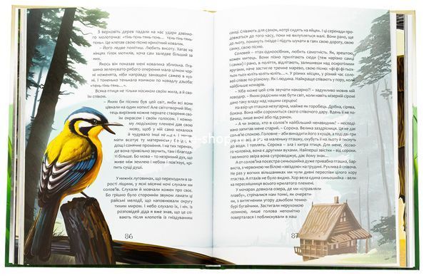 Книга Пастух сверчков - Мирослав Дочинец