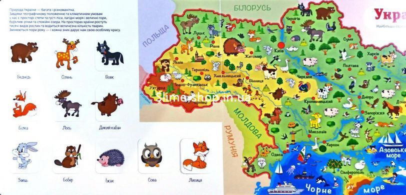 Книга Загляни в окошко. Атлас животных (на украинском языке)