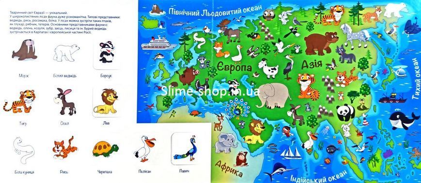 Книга Загляни в окошко. Атлас животных (на украинском языке)