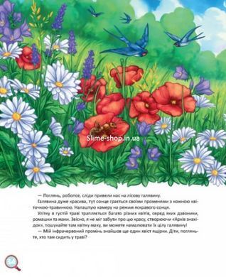Книга Хвости. Найперший детектив - Анна Захарук