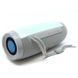 Портативная bluetooth колонка влагостойкая TG-157 Pulse с разноцветной подсветкой. XW-167 Цвет: серый