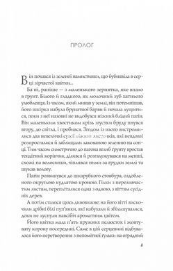 Книга Апельсин в луже / Людмила Баран (на украинском)