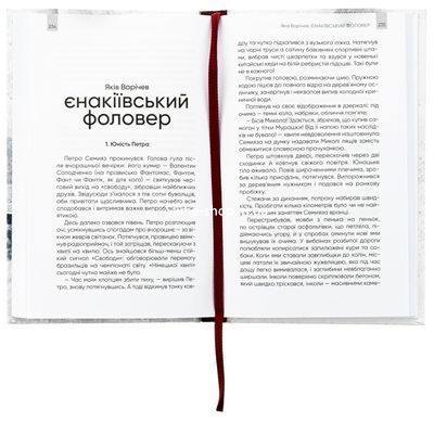 Книга Щоденник мого адвоката. Книга оповідань №1 / Андрій Осіпов (українською)