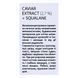 Сироватка для обличчя Hollyskin Caviar Vitalize Serum з екстрактом чорної ікри 50 мл 0024h